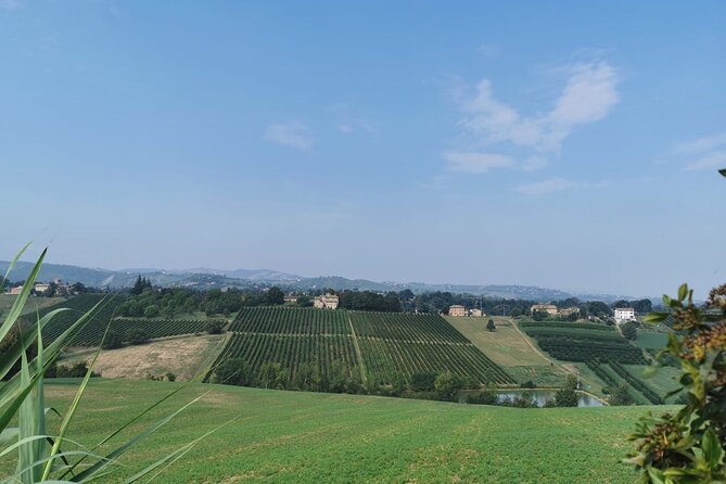3 Hour E-bike Tour with Parmesan and Balsamic Vinegar - What the $263.62 price includes