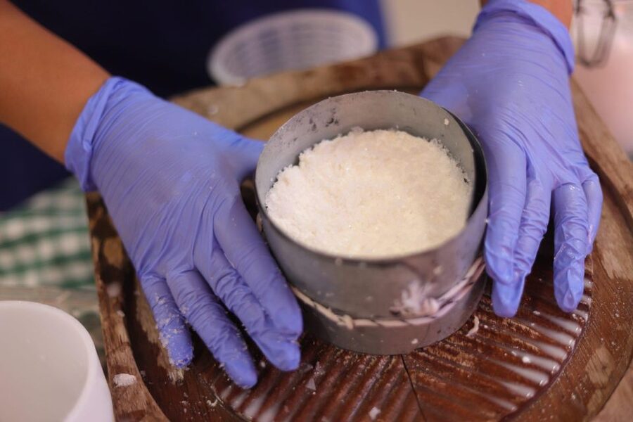 Aguïmes : Cheese Making Workshop at la Jaira de Ana - A Guided Dairy Tour With Plenty of Context