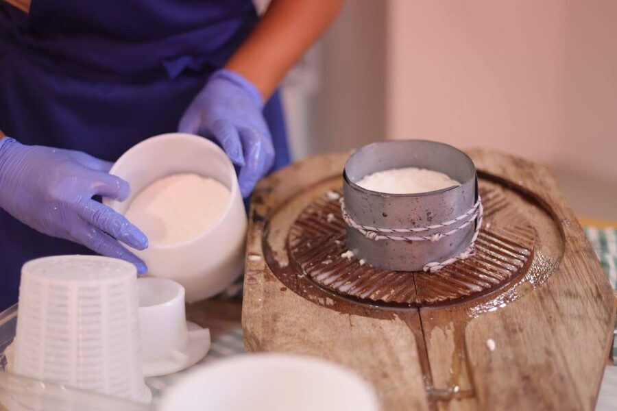 Aguïmes : Cheese Making Workshop at la Jaira de Ana - Taking Home Your Own Cheese