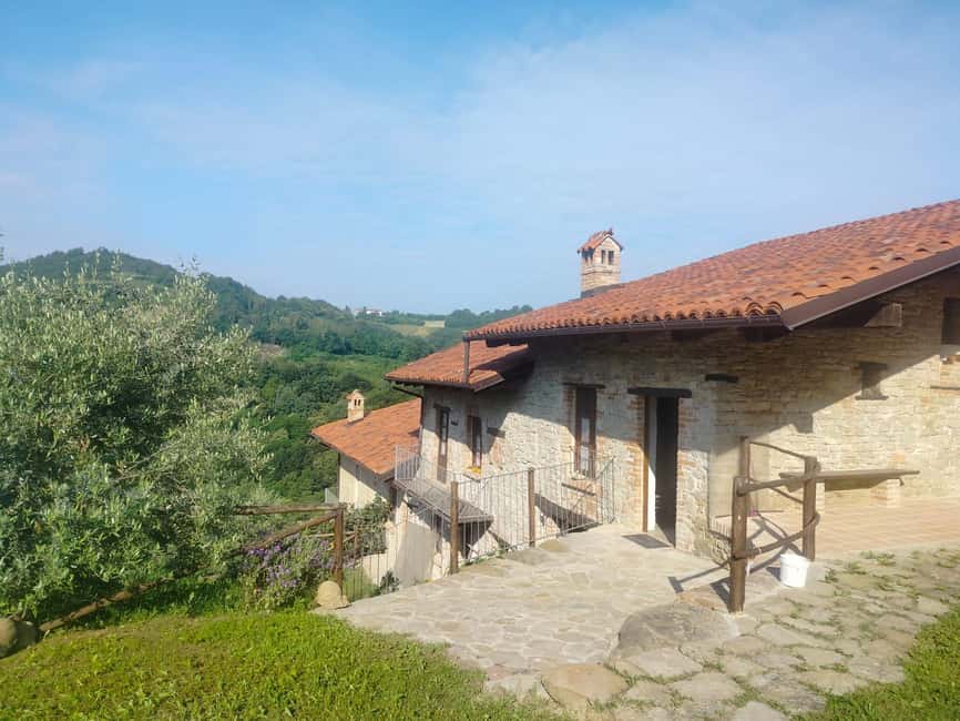 Alba: Truffle Hunting with Cheese, Truffle, & Wine Tastings - The dog and hunter partnership is the main attraction