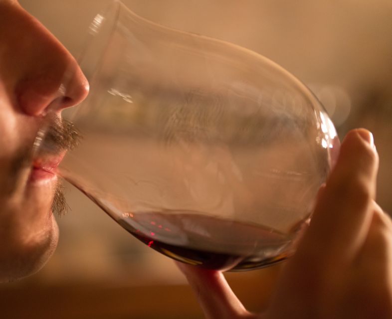 Alba: Truffle Hunting with Cheese, Truffle, & Wine Tastings - Should you book the Alba truffle hunt?