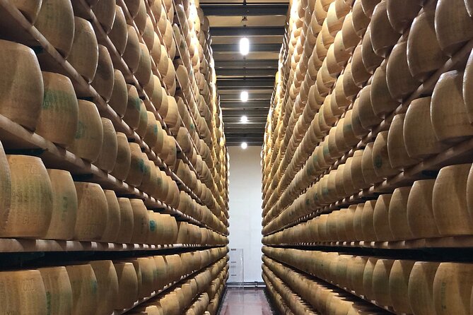 All In: Lambo,Ferrari,Balsamic,Wine, Parmigiano, PrivateTransport - Gavioli Antica Cantina and local wine