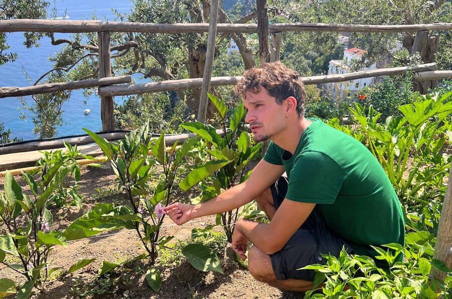 Amalfi Coast: Pizza & Mozzarella Class with Farmhouse visit - A long lunch with wine and Limoncello