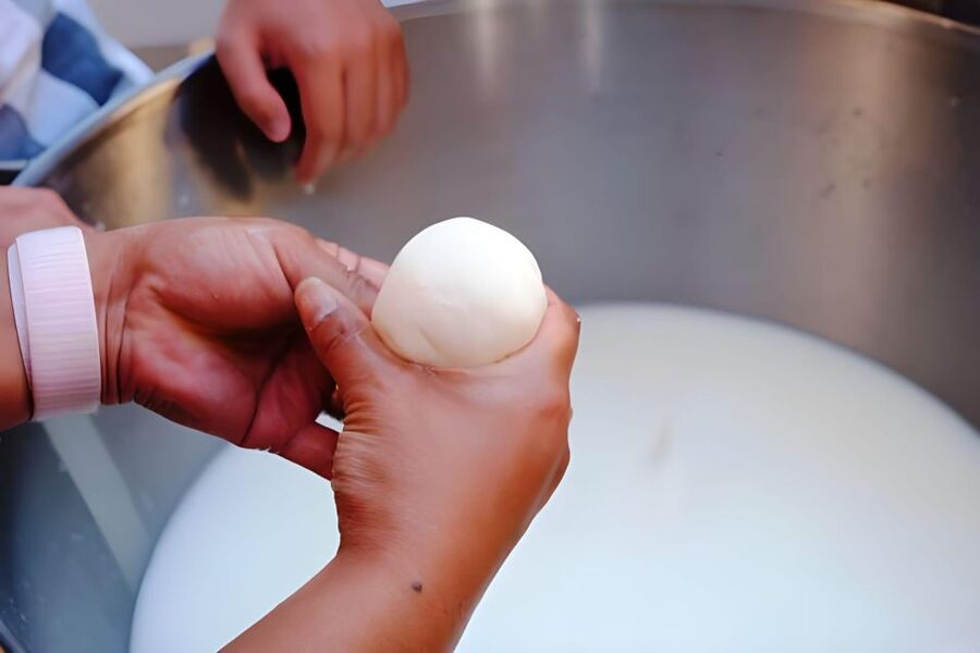 Amalfi: Make Fresh Pasta, Mozzarella, & Tiramisù with Wine - Fresh Mozzarella, Made the Southern Italian Way