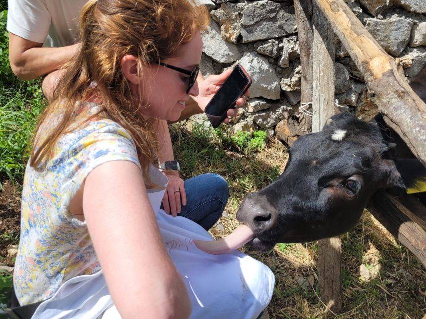 Amalfi: Make tagliatelle, mozzarella and tiramisù - A Farm Kitchen Above the Amalfi Coast