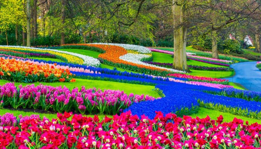 Amsterdam: Cheese, Clogs, Flowers and Windmills Tour - Why this tour works as a Dutch countryside sampler