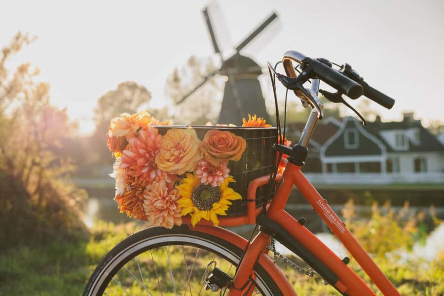 Amsterdam: Cheese Tasting, Windmill & Countryside Bike Tour - Is $46 a good value?