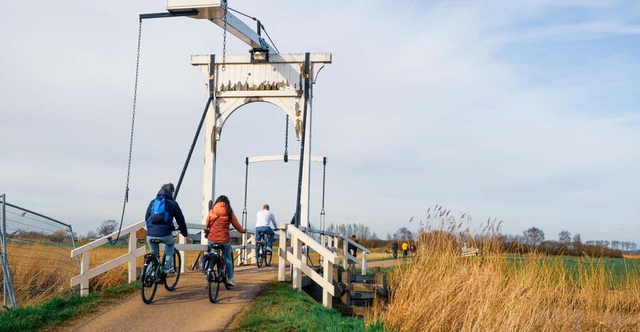 Amsterdam: Dutch Countryside E-Bike with Cheese & Clogs - D’Admiraal windmill up close