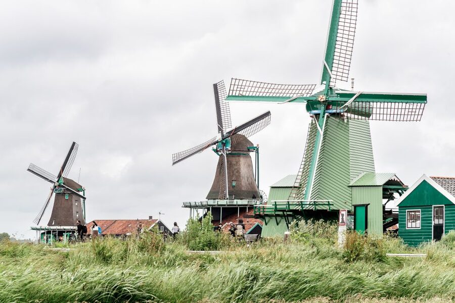 Amsterdam: Guided Zaanse Schans, Windmills & Cheese Tour - The guide makes the difference