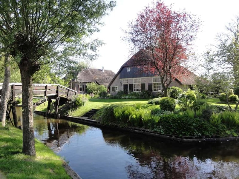 Amsterdam: Live GuideD Giethoorn Boat Tour & Cheese Platter - Free Time Beside the Waterways