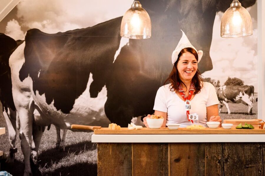 Amsterdam: Premium Henri Willig Cheese Tasting Experience - What the Henri Willig tasting is really like