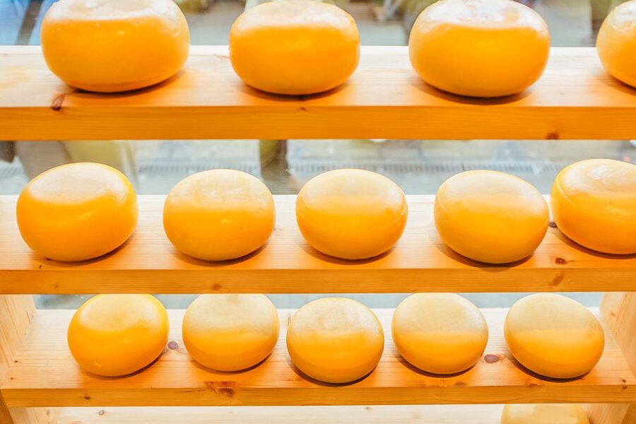 Amsterdam: Premium Henri Willig Cheese Tasting Experience - Price, timing, and what you receive for $21