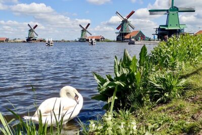 Amsterdam private tour to windmills, cheese farm and villages