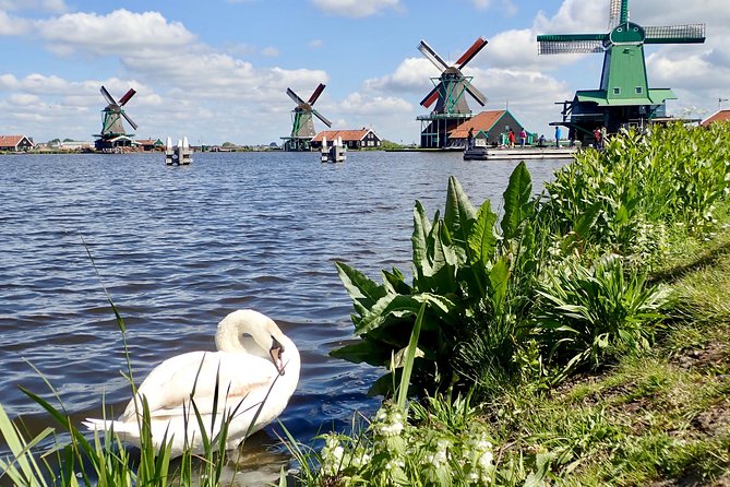 Amsterdam private tour to windmills, cheese farm and villages - Edam: a small town with cheese and seafood