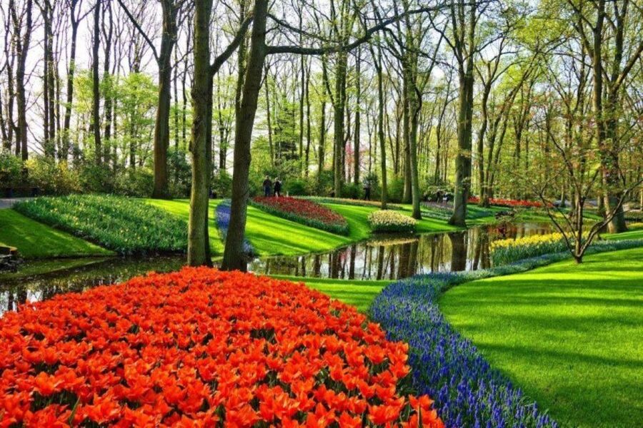 Amsterdam: Private tour Tulips, Keukenhof, Windmill & Cheese - Key points before you book