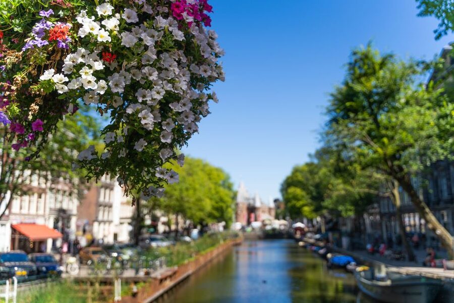 Amsterdam Walking Tour with Cheese Tasting - Who should book this Amsterdam tour?