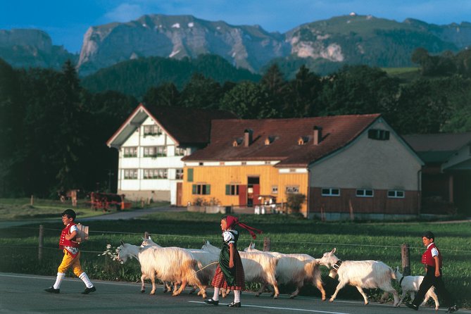 Appenzell Alps Day Trip from Zurich – Farm Life & Cheese Tasting - Meeting a Swiss farmer in Stein