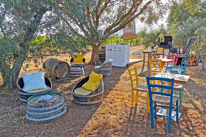 Archeology, visit to a vineyard and wine and pecorino cheese tasting - Who should book this experience