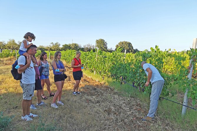 Archeology, visit to a vineyard and wine and pecorino cheese tasting - Su Barone wetlands and the birdlife