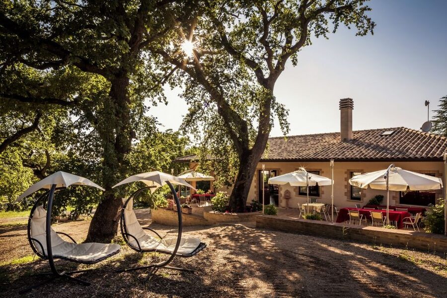 Assisi: Organic Wine and Cheese Tasting - Key points to know before you go