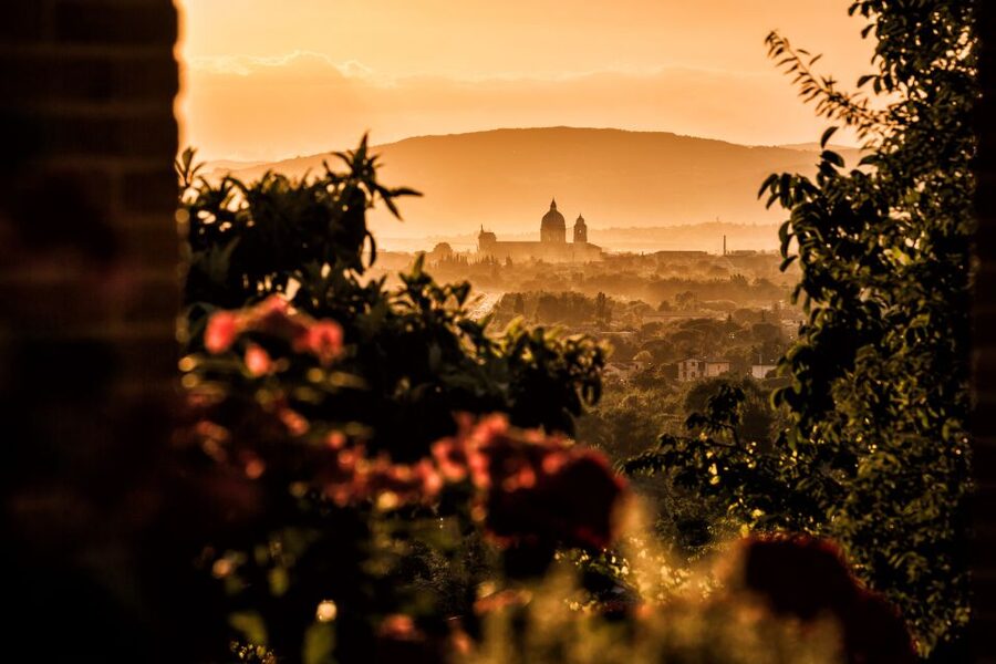 Assisi: Organic Wine and Cheese Tasting - What the $29 price really covers