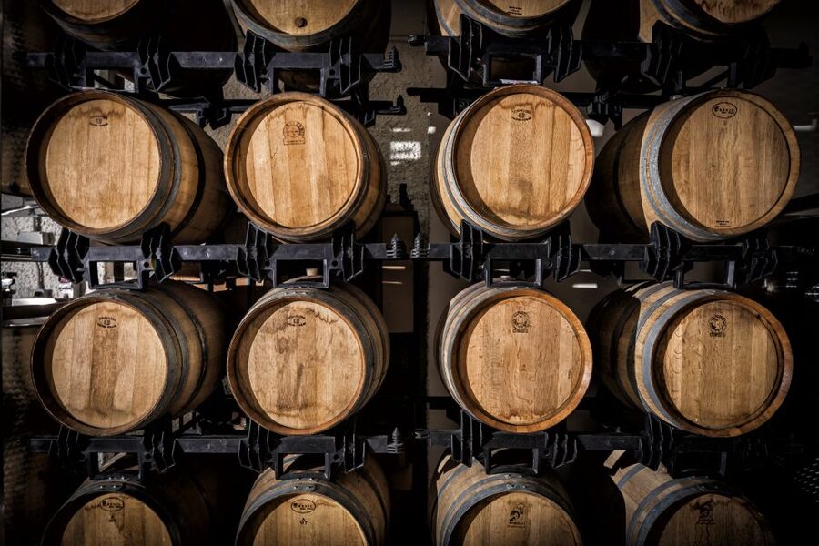 Assisi: Organic Wine and Cheese Tasting - Who will enjoy this winery visit most