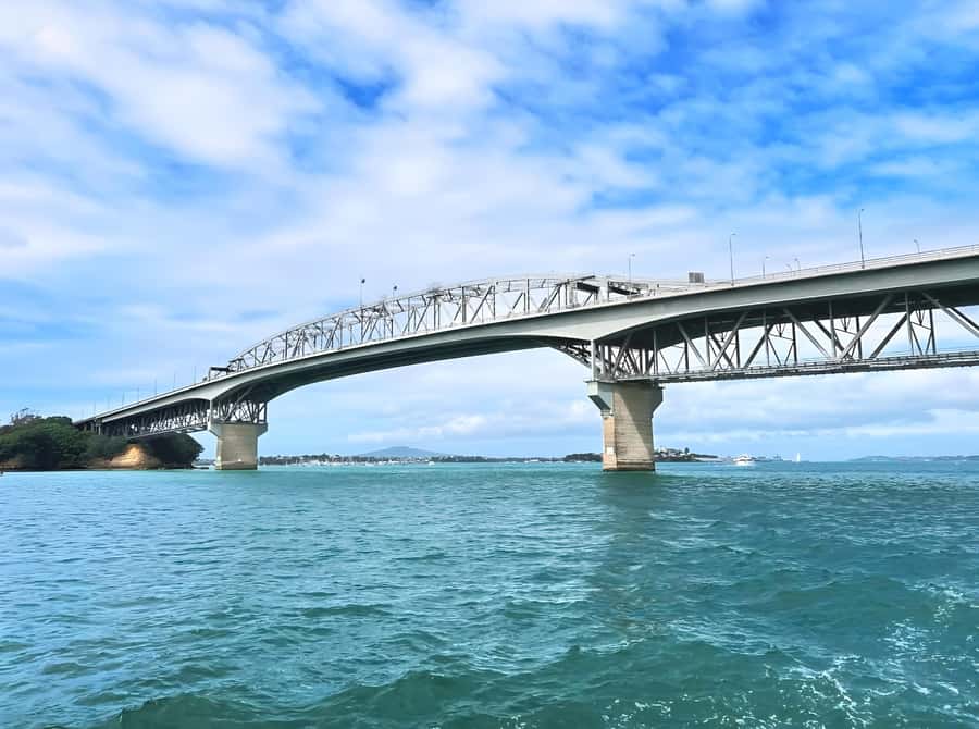 Auckland: Scenic Wine and Cheese Harbour Cruise - Key points to know before boarding