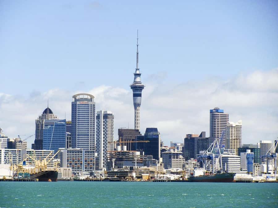 Auckland: Scenic Wine and Cheese Harbour Cruise - Cheese, charcuterie, wine, and beer