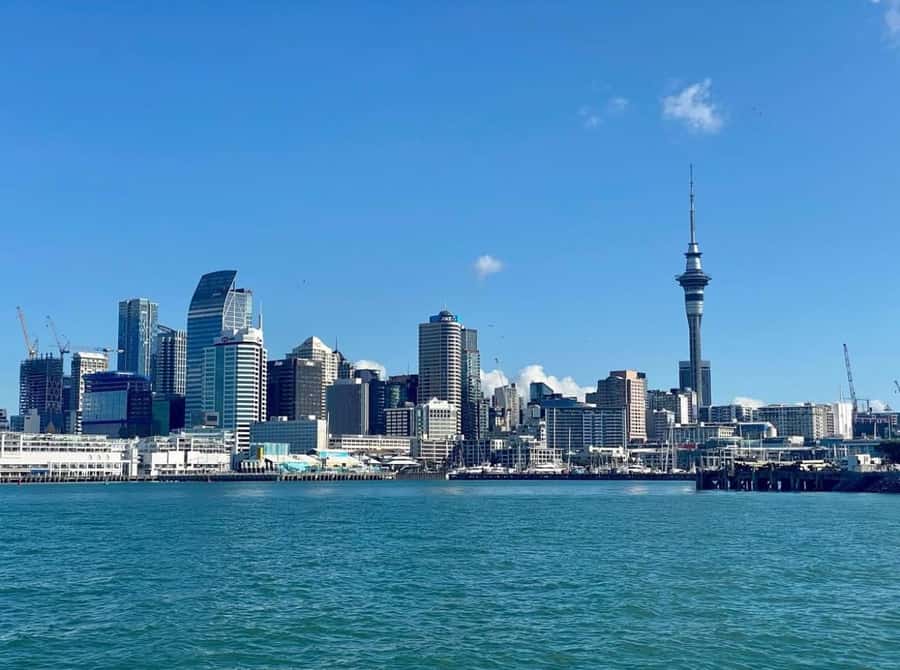 Auckland: Scenic Wine and Cheese Harbour Cruise - How the price compares with the experience