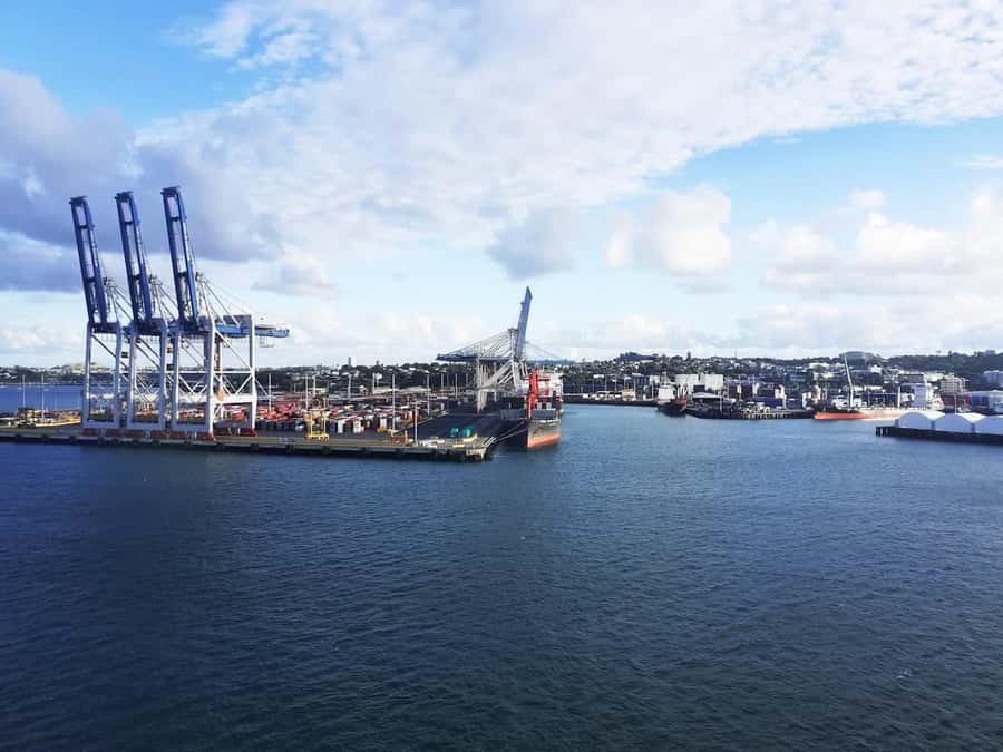 Auckland: Scenic Wine and Cheese Harbour Cruise - Who will enjoy this Auckland cruise most