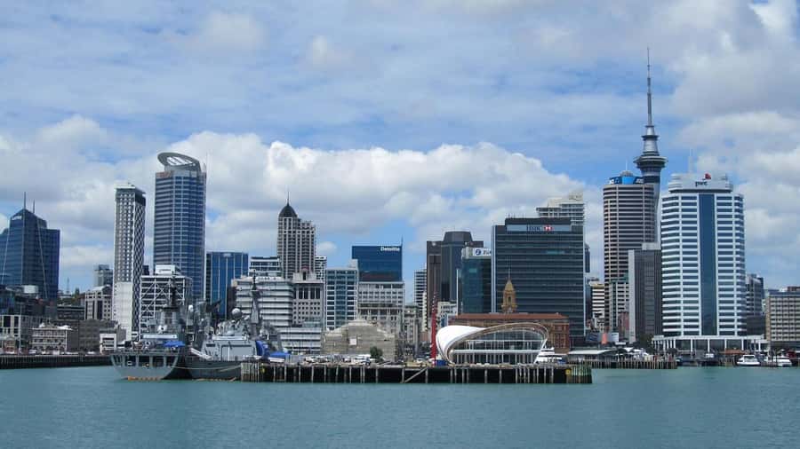 Auckland: Scenic Wine and Cheese Harbour Cruise - Practical tips for making the most of it