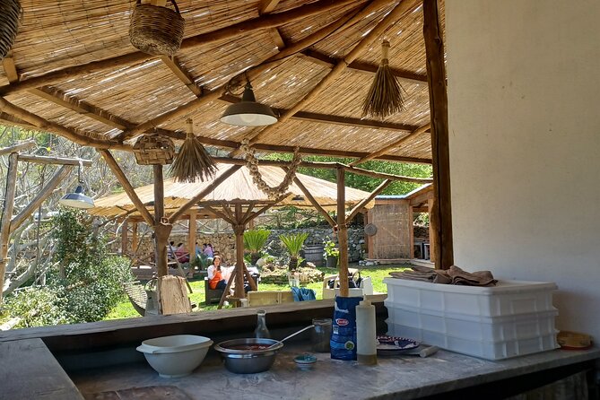 Authentic Farm Tour with Pizza, Cheese, Wine & Limoncello Tasting - What you actually eat for lunch