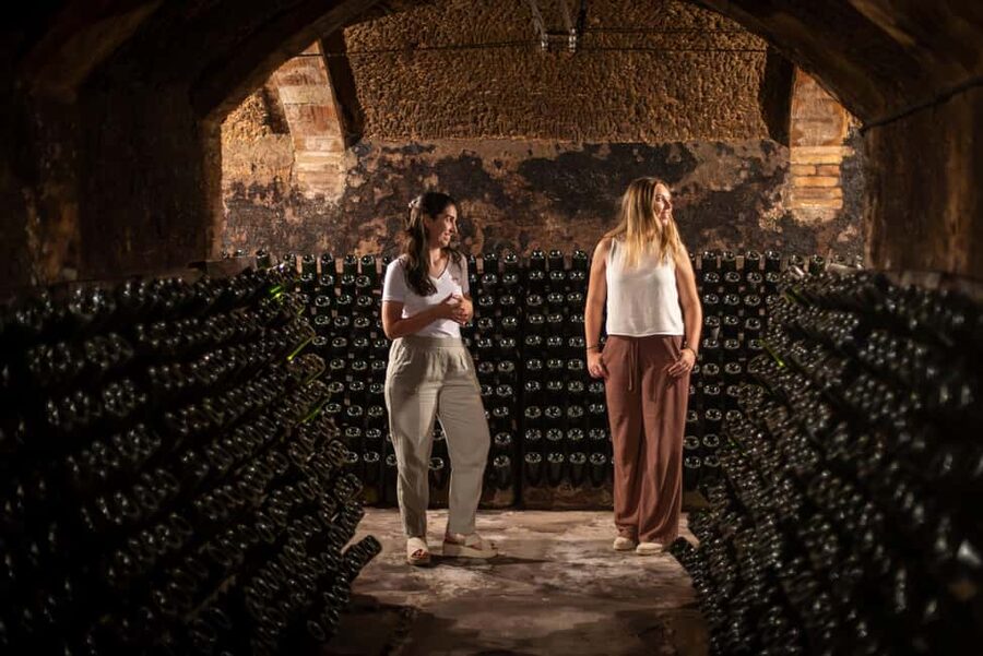Barcelona: Cavas Hill - Winery Tour & Cheese Tasting - Key points to know before you go