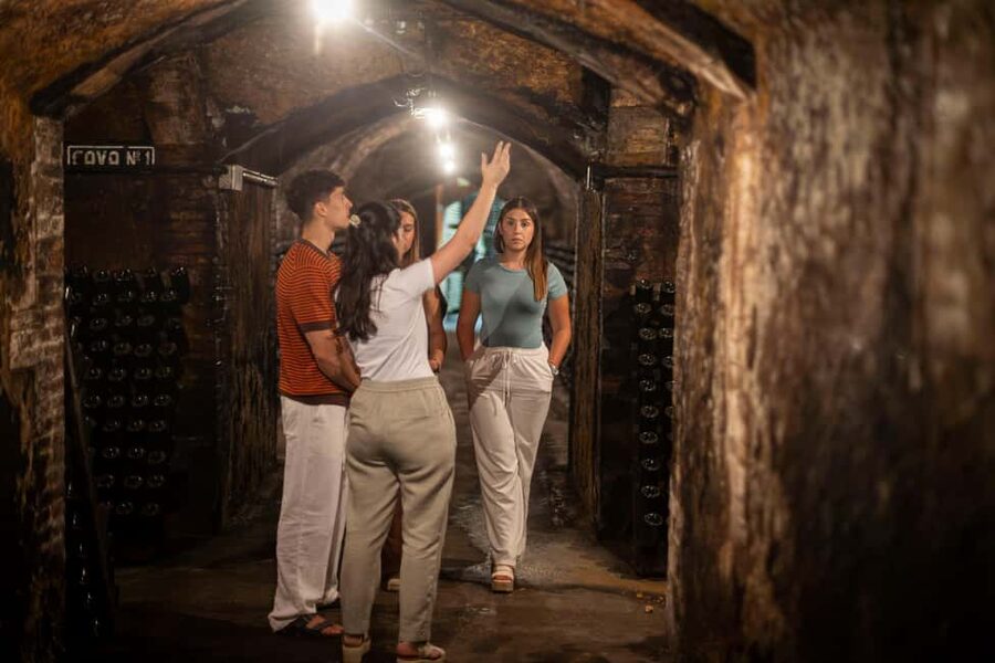 Barcelona: Cavas Hill - Winery Tour & Cheese Tasting - What makes the experience memorable