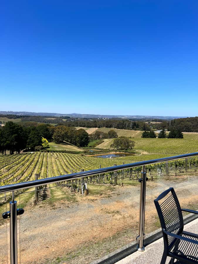 Barossa Valley Gourmet Food & Wine Tour - Seppeltsfield offers the first full winery pause