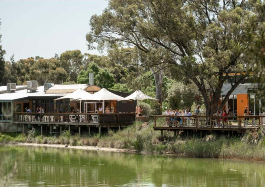 Barossa Valley: Maggie Beer's Wine Tasting & Cheese Platter - Key points to know before you go