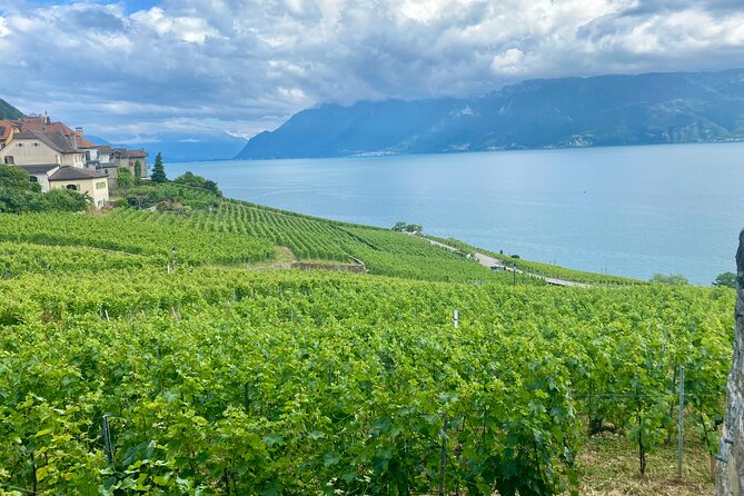 Bern Private Tour - Gruyères , Cheese, and Lavaux's UNESCO Wine - Leaving Bern for the cheese country