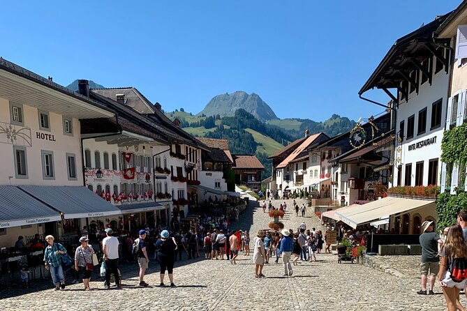 Bern Private Tour - Gruyères , Cheese, and Lavaux's UNESCO Wine - Walking the Lavaux vineyards near Epesses