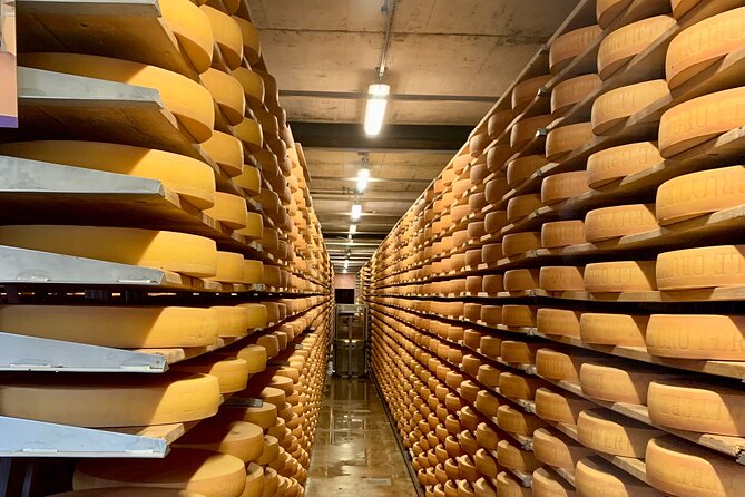 Bern Private Tour - Gruyères , Cheese, and Lavaux's UNESCO Wine - Guides, pace, and the private format