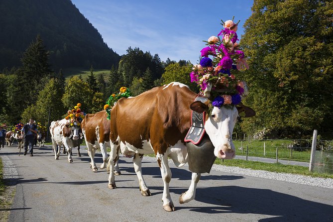 Berne the Capital and Cheese paradise Emmental (Private Tour) - What the guiding adds