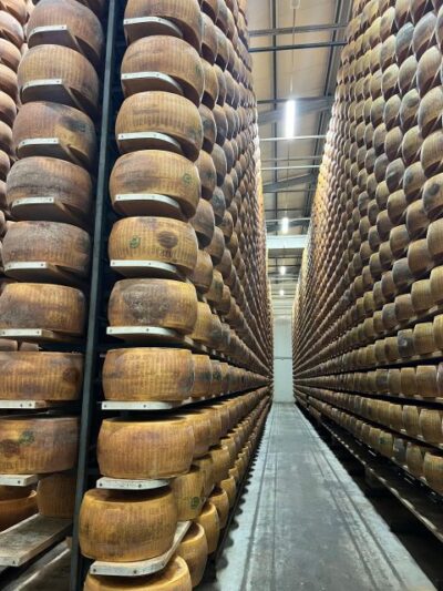 Ferrari, Parmigiano, Balsamic Day Trip w/Light Lunch