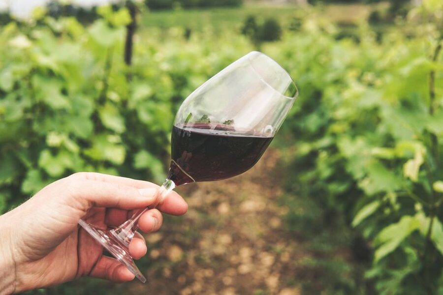 Bologna/Modena: Parmesan,Ferrari, Balsamic,Wine Tour w/Lunch - Is $430.48 a fair price?