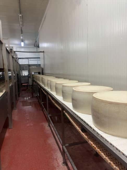 Bologna/Modena: Parmesan,Ferrari, Balsamic,Wine Tour w/Lunch - Starting from Bologna or Modena