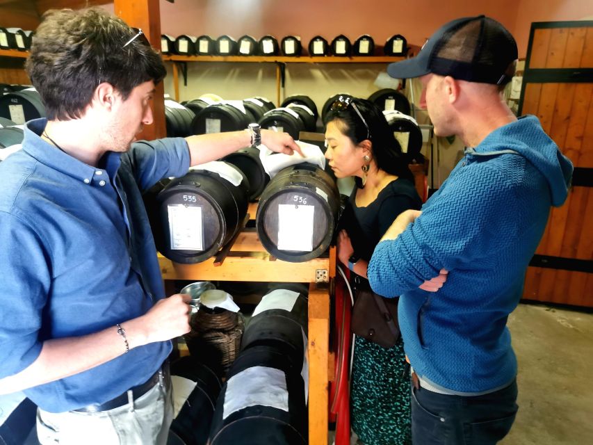 Bologna: Parmigiano, Wine and Balsamic Vinegar experience - Key points at a glance
