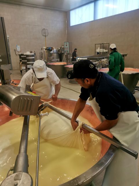 Bologna: Parmigiano, Wine and Balsamic Vinegar experience - Why this food tour works so well