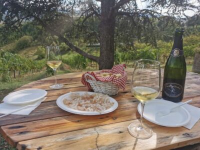 Parmigiano, Wine and Balsamic Vinegar experience