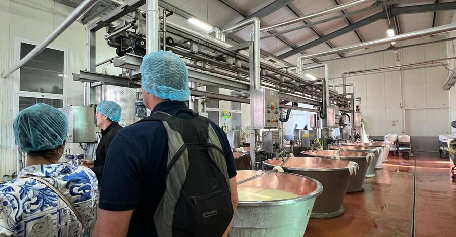 Bologna: Super Cars, Parmesan and Balsamic Tour with Lunch - Inside a Parmigiano Reggiano dairy