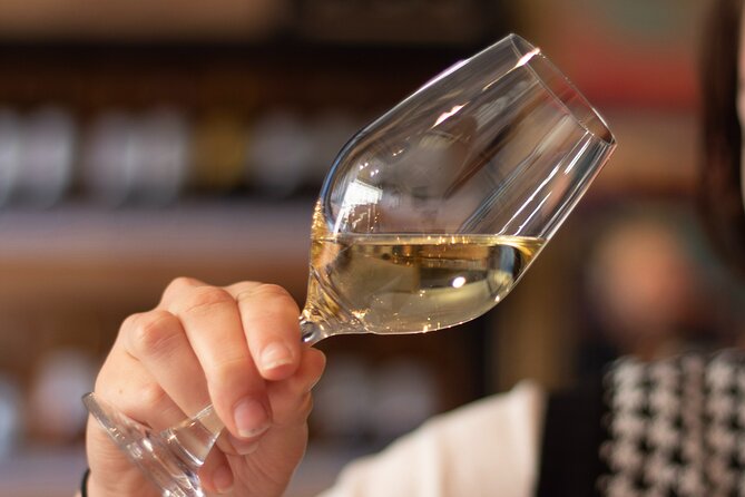 Bordeaux Wines Masterclass paired with cheeses & charcuterie - The first glass: learning how to taste wine