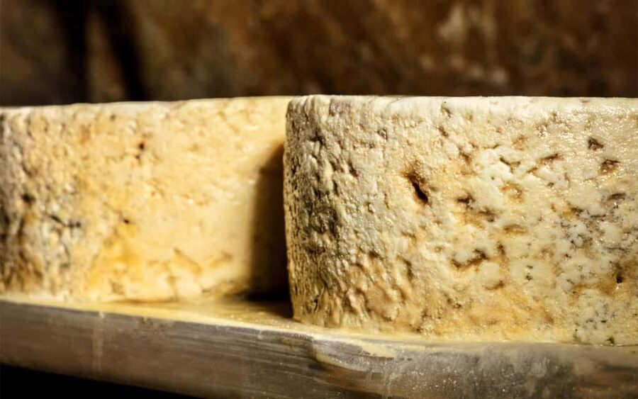 Bulnes: Excursion with funicular and Cabrales cheese cave in the Picos de Europa - Guide quality and language support