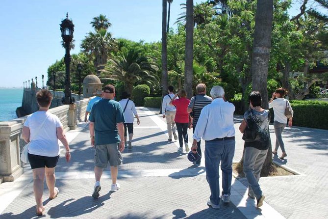 Cadiz Shore Excursion: Scenic & walking tour with cheese and sherry tasting - Price, timing, and the shore-excursion risk